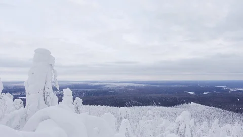 View from the mountain to the winter forest landscape Stock Footage 127750504
