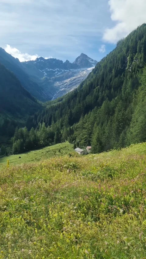  View of mountains and alpine forest on the Tour de Mont Blanc route in the Alps Stock Footage 284711712