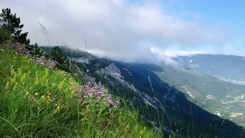 View of mountains and cliffs covered with clouds. Mountain herbs growing on the Stock Footage 140287078