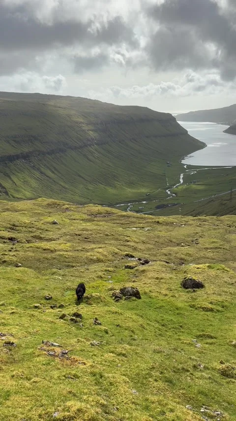 View of mountains and a fjord with dramatic green slopes and cloudy Nordic sky,  Stock Footage 334870127