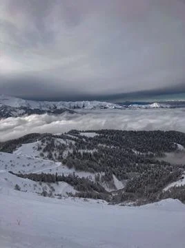 View of the mountains and forest in the clouds from a height Stock Photos