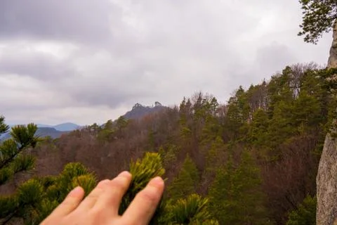 View of mountains and forest in spring over shrub which is pushed by hand dow Stock Photos