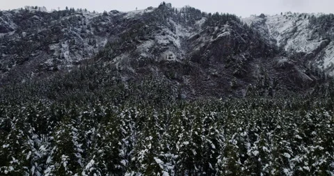 View of mountains and forest in winter Video stock 221348413