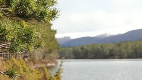 View of the mountains and the lake Stock Footage 11014841
