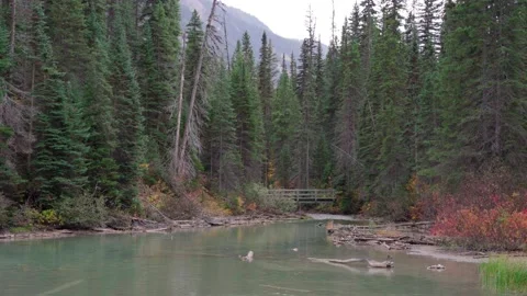 View of Mountains and lake with pine woods in Banff National Park Stock Footage 197043552