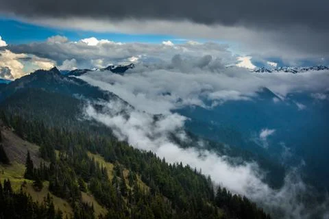 View of mountains and low clouds from Hurricane Ridge, in Olympic National Pa Foto stock
