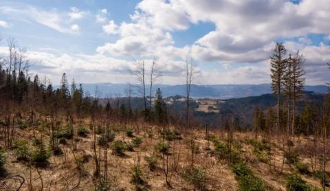 View of mountains and meadow with clouds Stock Photos