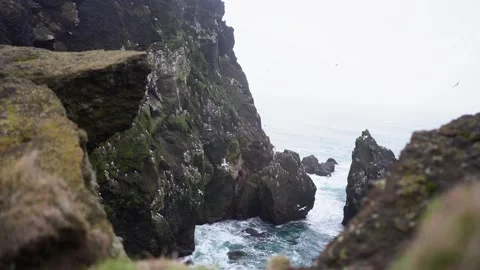 View of mountains and ocean waves and birds in Iceland Stock Footage 258263358