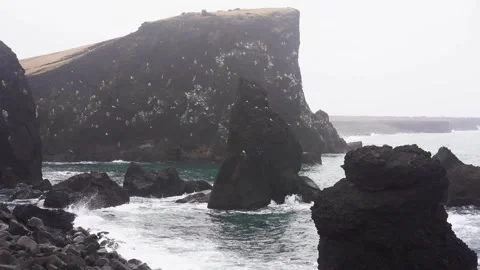 View of mountains and ocean waves and birds in Iceland Stock Footage 258263405