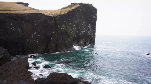 View of mountains and ocean waves and birds in Iceland Stock Footage 258263445