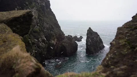 View of mountains and ocean waves and birds in Iceland Stock Footage 258263573