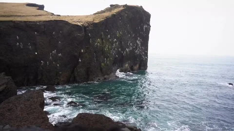 View of mountains and ocean waves and birds in Iceland Stock Footage 258263648