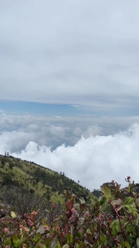 View of Mountains and Thick Clouds from a Height 库存影片 333496666