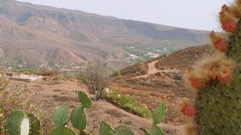 View of mountains and trees and cactus from viewing point in centre of Gran Stock Footage 83688908