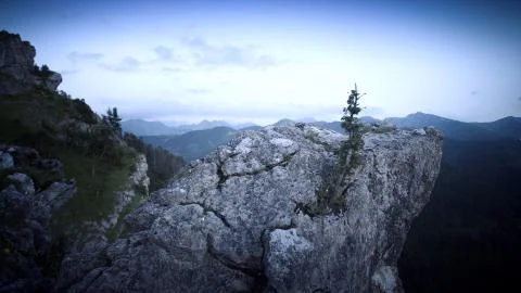 View of the mountains and trees in the moonlight  Stock Photos