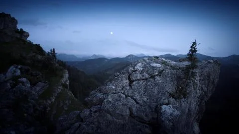 View of the mountains and trees in the moonlight  Stock Photos