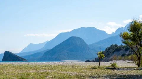 View of the mountains from the beach with a tree Stock-Fotos