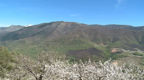 View to the mountains from the cherry tree terraces Stock Footage 49652158