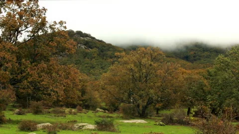 View of the mountains on a cloudy autumn day. Stock Footage 255836166