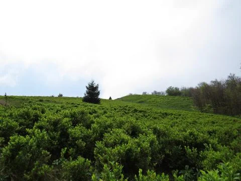 View at Mountains with Cloudy Sky Stock Photos