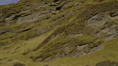 View of mountains covered with green grass. A tourist examines the mountains Stock Footage 130443972