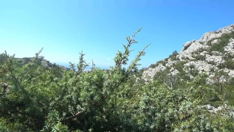 View from mountains down to the sea in Paclenica Stock Footage 114242855