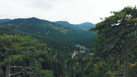 View of the mountains Vídeos de archivo 193981862