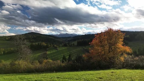 View of mountains with forest in autumn Stock Footage 260570798