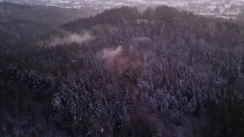 View of the mountains in the forest. Cinematic winter snowy forest. Stock Footage 300809332