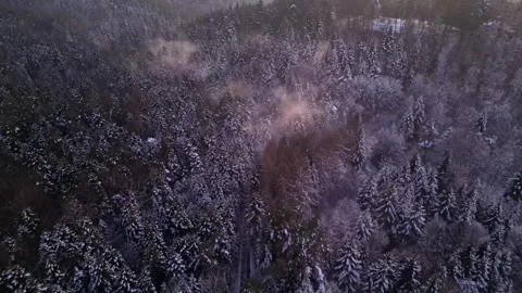 View of the mountains in the forest. Cinematic winter snowy forest. Stock Footage 300810612