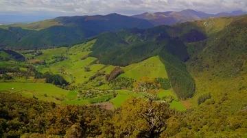 View on mountains, grassland and forrest Stock Footage 85489775