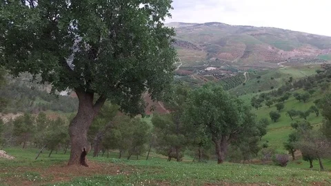 View from the Mountains in Jordan. Stock Footage 76569977