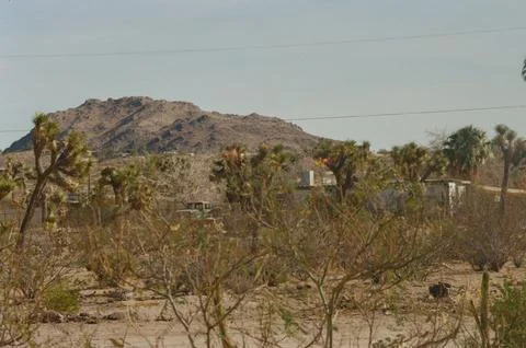 View of mountains in Joshua Tree 写真素材