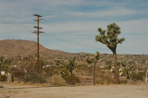 View of mountains in Joshua Tree 写真素材
