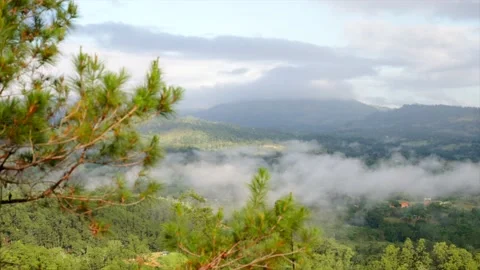 View on mountains with misty dense forest and fog in the valley through Stock Footage 208818271