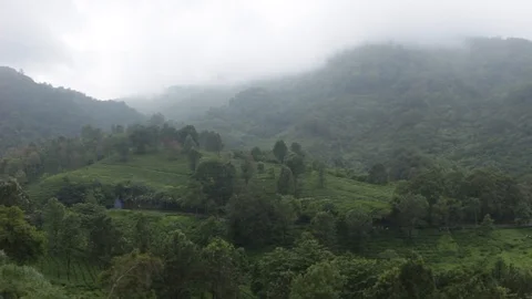 View of the mountains in the morning Stock Footage 122048612