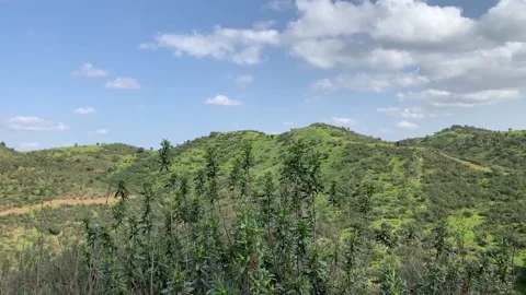 View of the mountains in the mountains of Huelva Stockbeeldmateriaal 150783452