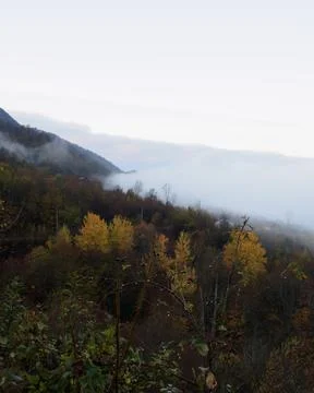 The view of the mountains 库存照片