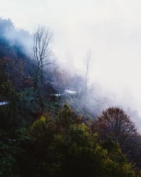 The view of the mountains Stock Photos