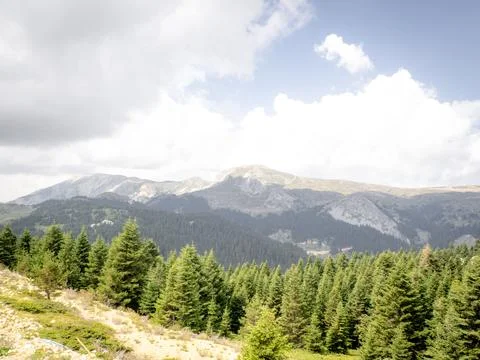 View of the mountains Stock Photos
