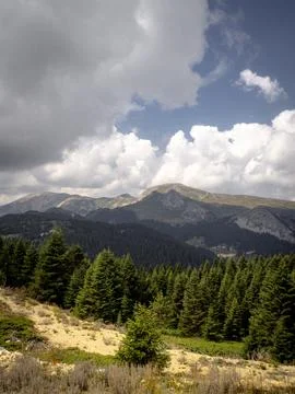 View of the mountains 库存照片