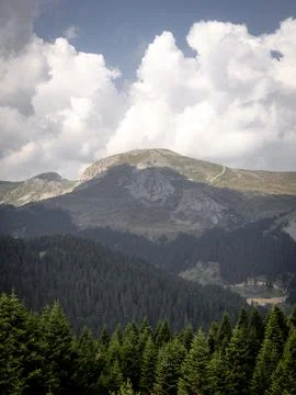 View of the mountains Stock Photos