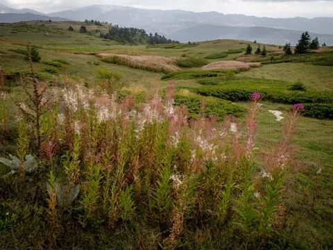 View of the mountains Foto stock