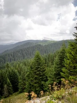 View of the mountains Stock Photos