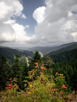 View of the mountains Stock Photos