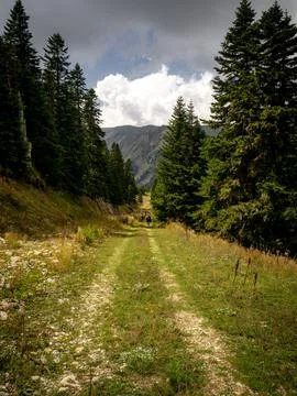 View of the mountains Stock Photos