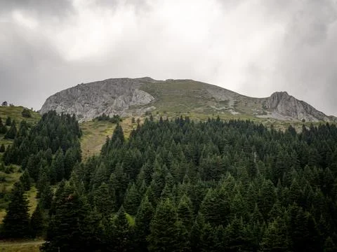 View of the mountains Stock Photos