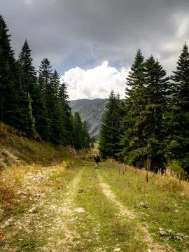 View of the mountains Stock Photos