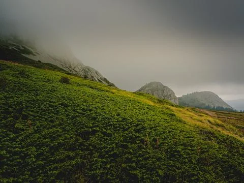 View of the mountains Stock Photos
