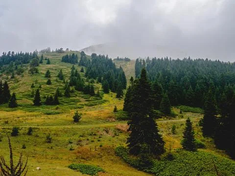 View of the mountains Stock Photos